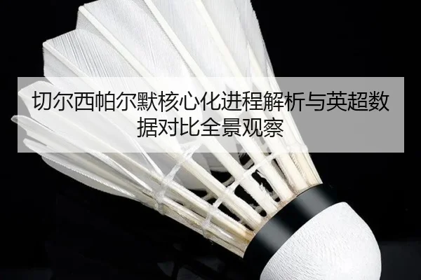 切尔西帕尔默核心化进程解析与英超数据对比全景观察